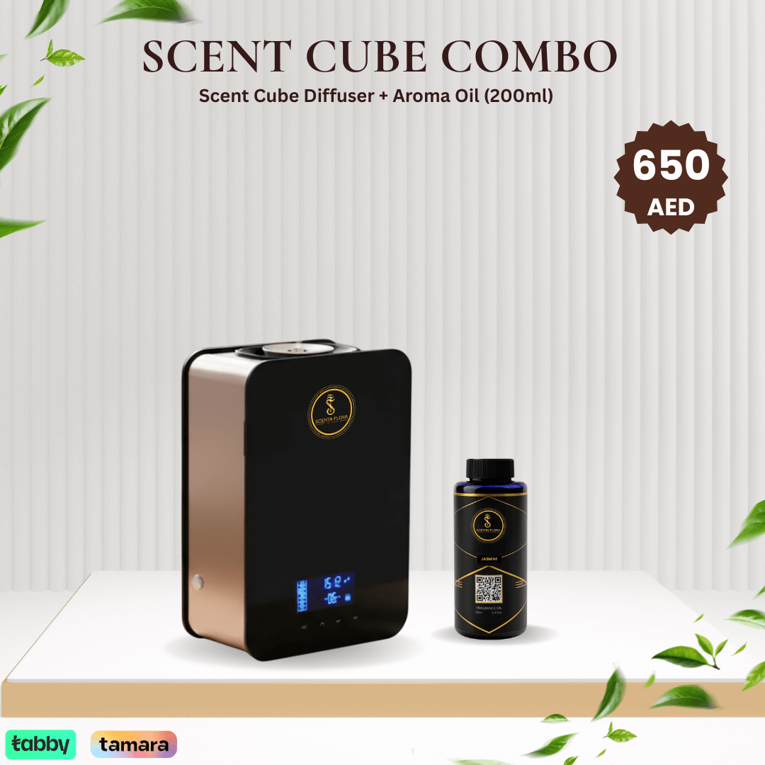 SCENT CUBE Combo